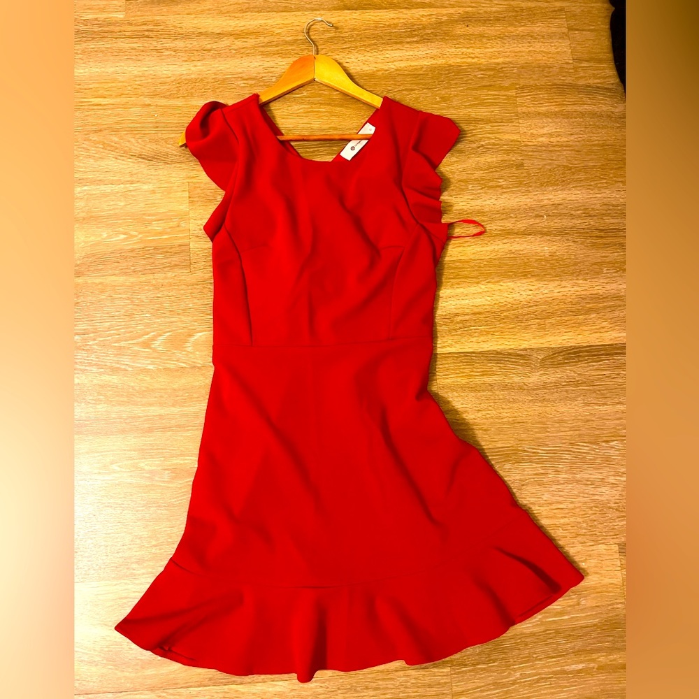 Red preppy dress worn 1 time for an Ole Miss game. Open to negotiations. 1 flaw